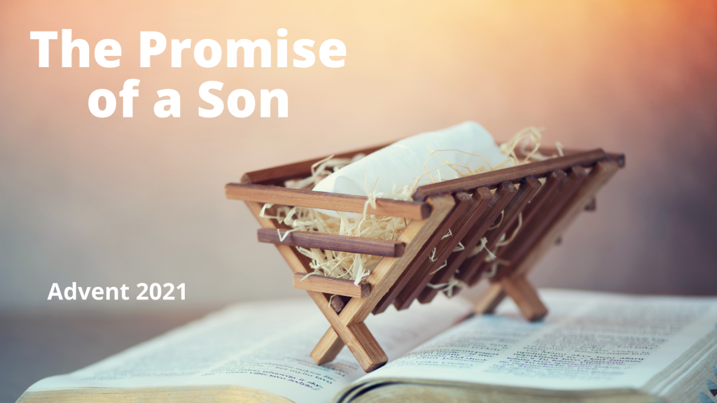 The Promised Son Silences the Accuser